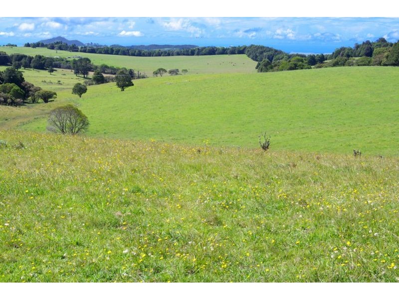 5597 Waterfall Way, Dorrigo NSW 2453