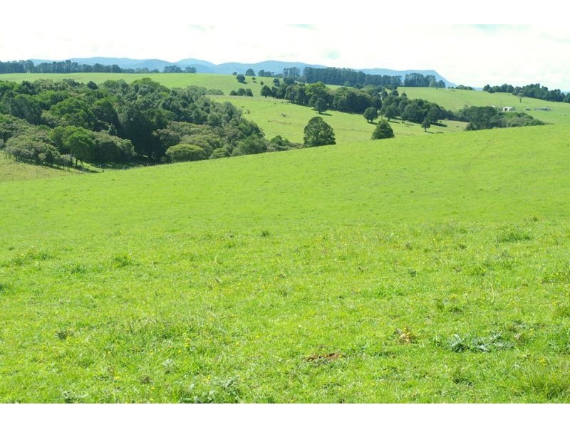 5597 Waterfall Way, Dorrigo NSW 2453