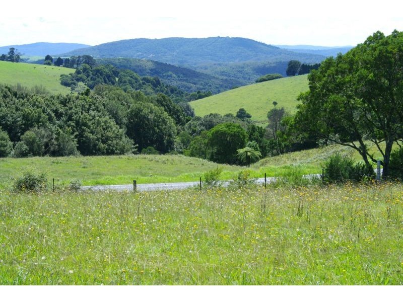 5597 Waterfall Way, Dorrigo NSW 2453