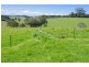5597 Waterfall Way, Dorrigo NSW 2453