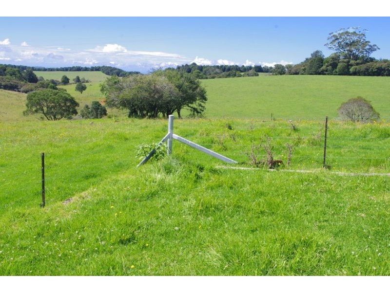 5597 Waterfall Way, Dorrigo NSW 2453