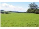5597 Waterfall Way, Dorrigo NSW 2453