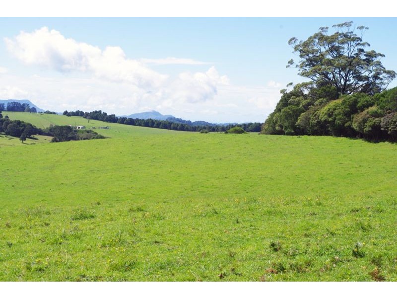 5597 Waterfall Way, Dorrigo NSW 2453