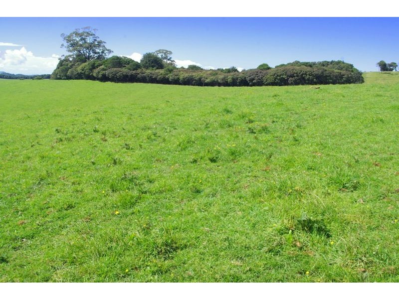 5597 Waterfall Way, Dorrigo NSW 2453