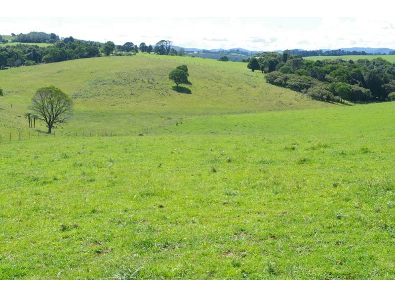 5597 Waterfall Way, Dorrigo NSW 2453