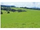 5597 Waterfall Way, Dorrigo NSW 2453