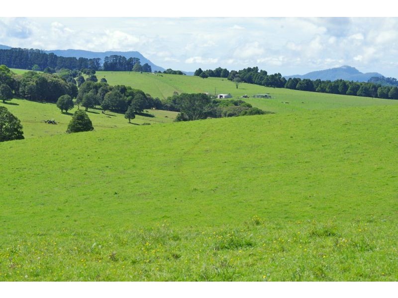 5597 Waterfall Way, Dorrigo NSW 2453