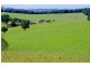 5597 Waterfall Way, Dorrigo NSW 2453