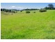 5597 Waterfall Way, Dorrigo NSW 2453