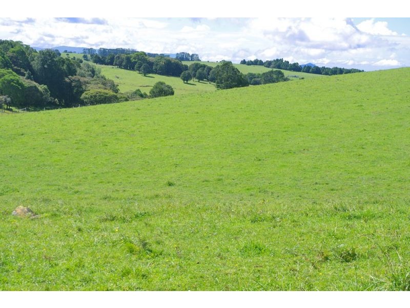 5597 Waterfall Way, Dorrigo NSW 2453