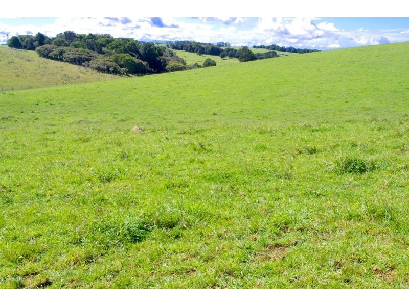 5597 Waterfall Way, Dorrigo NSW 2453