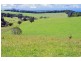 5597 Waterfall Way, Dorrigo NSW 2453