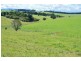 5597 Waterfall Way, Dorrigo NSW 2453