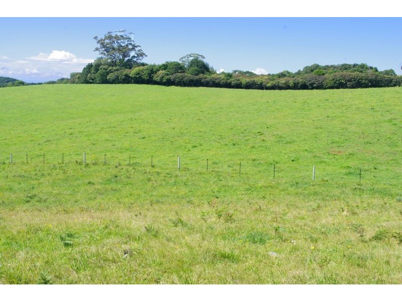 5597 Waterfall Way, Dorrigo NSW 2453