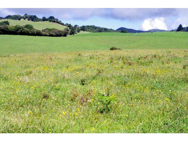 5597 Waterfall Way, Dorrigo NSW 2453