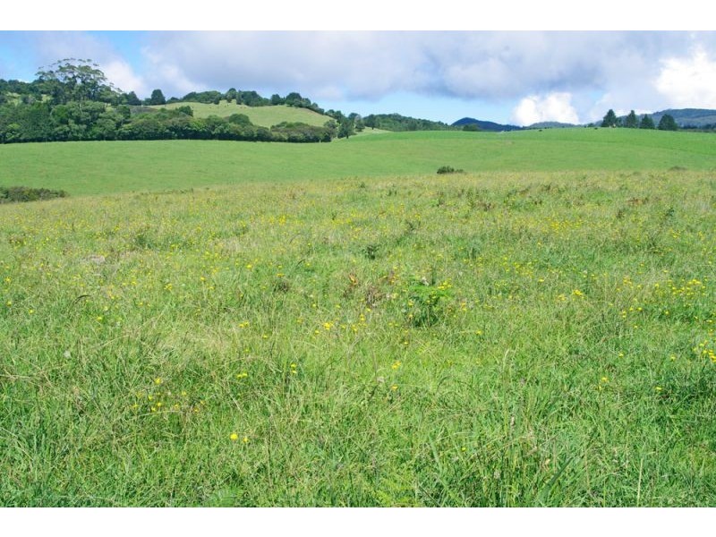 5597 Waterfall Way, Dorrigo NSW 2453