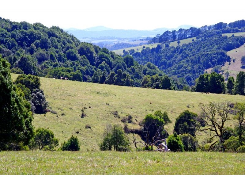 26 Nashs Road, Dorrigo NSW 2453