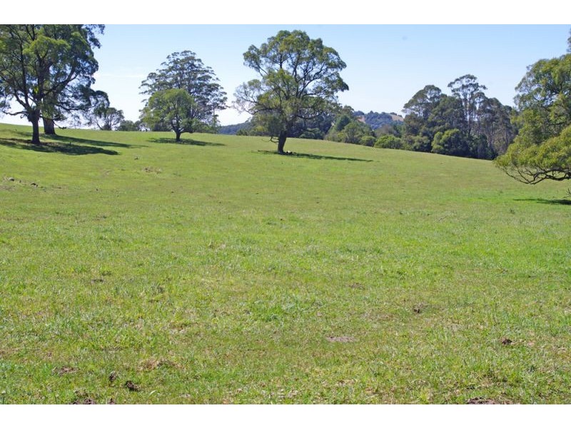26 Nashs Road, Dorrigo NSW 2453