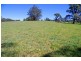 26 Nashs Road, Dorrigo NSW 2453