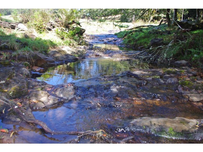 26 Nashs Road, Dorrigo NSW 2453