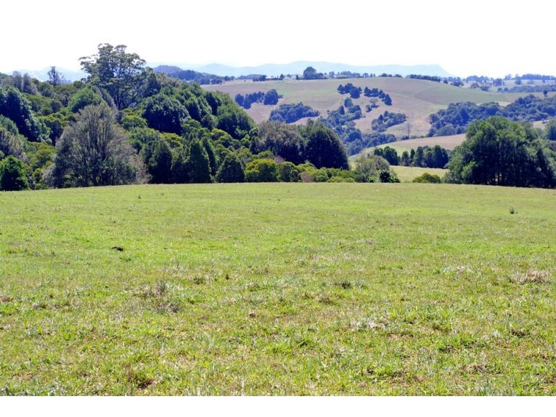 26 Nashs Road, Dorrigo NSW 2453