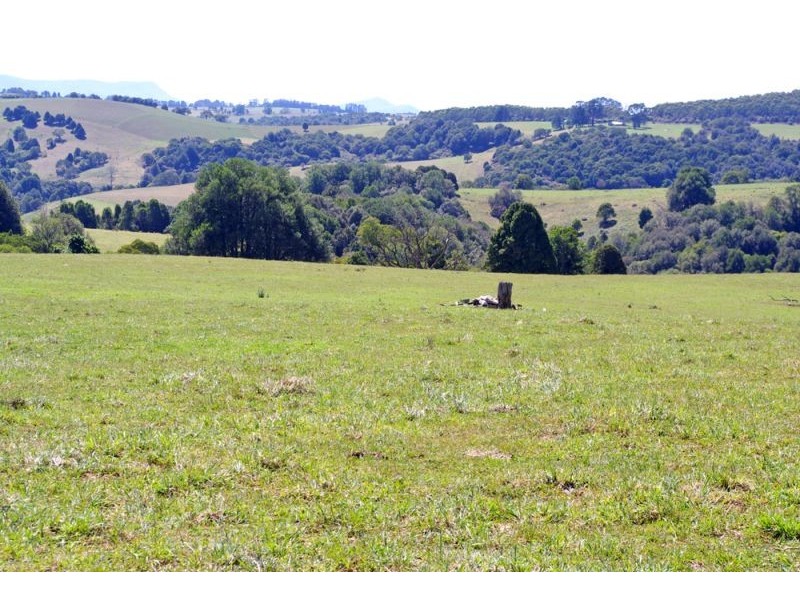 26 Nashs Road, Dorrigo NSW 2453