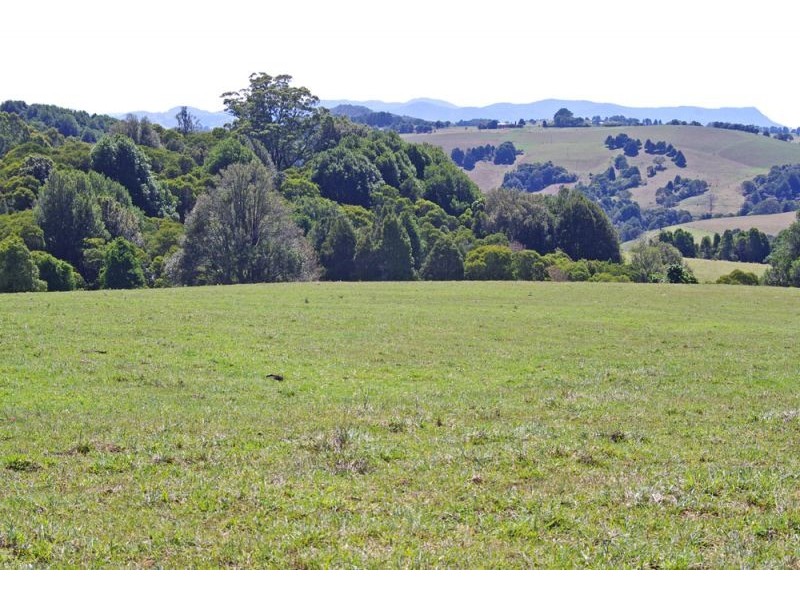 26 Nashs Road, Dorrigo NSW 2453