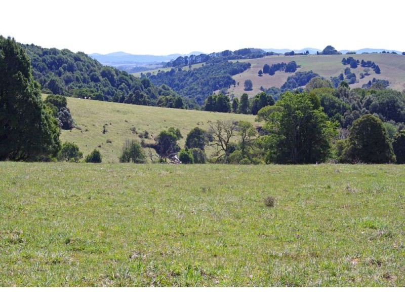 26 Nashs Road, Dorrigo NSW 2453