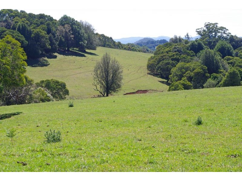 26 Nashs Road, Dorrigo NSW 2453