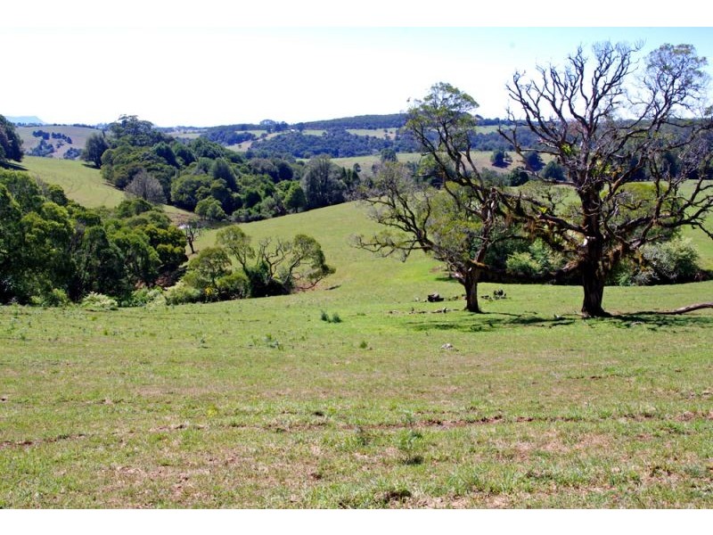 26 Nashs Road, Dorrigo NSW 2453