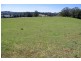 26 Nashs Road, Dorrigo NSW 2453