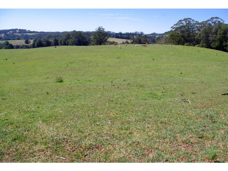 26 Nashs Road, Dorrigo NSW 2453