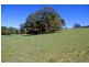 26 Nashs Road, Dorrigo NSW 2453