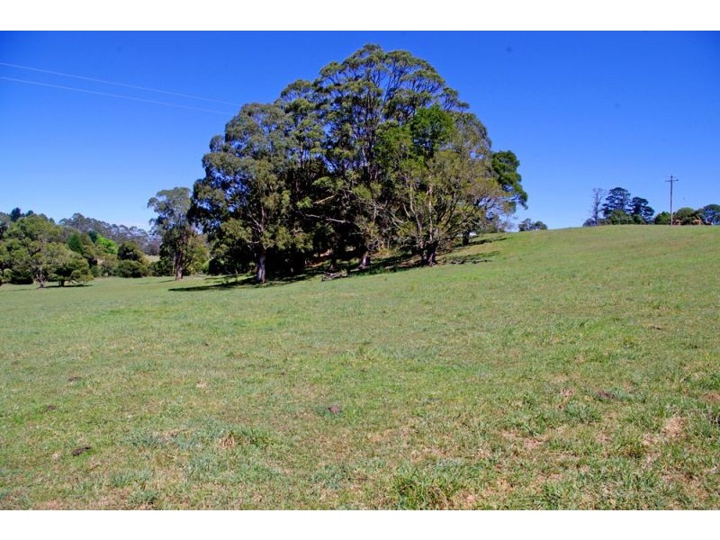 26 Nashs Road, Dorrigo NSW 2453