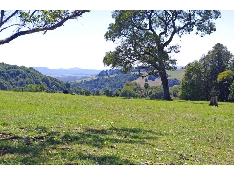 26 Nashs Road, Dorrigo NSW 2453