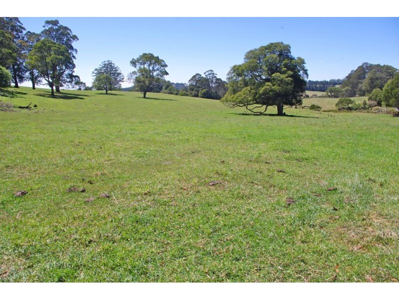 26 Nashs Road, Dorrigo NSW 2453