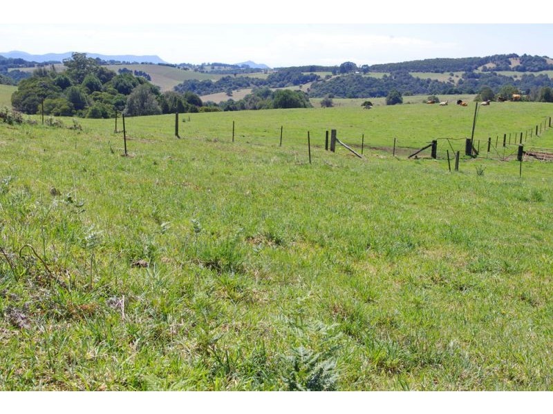 26 Nashs Road, Dorrigo NSW 2453