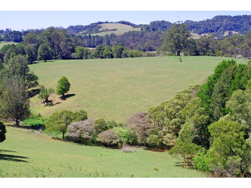 26 Nashs Road, Dorrigo NSW 2453