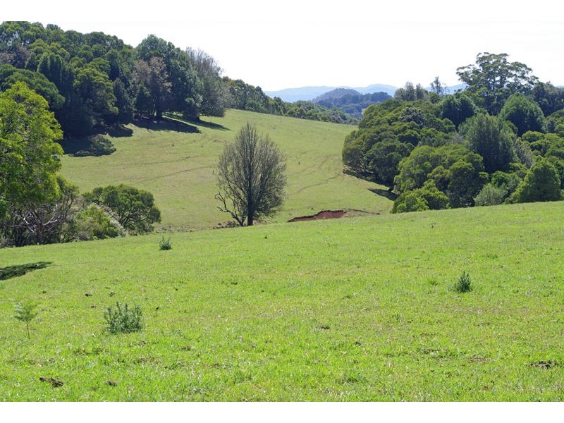 26 Nashs Road, Dorrigo NSW 2453