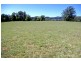 26 Nashs Road, Dorrigo NSW 2453