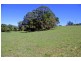 26 Nashs Road, Dorrigo NSW 2453