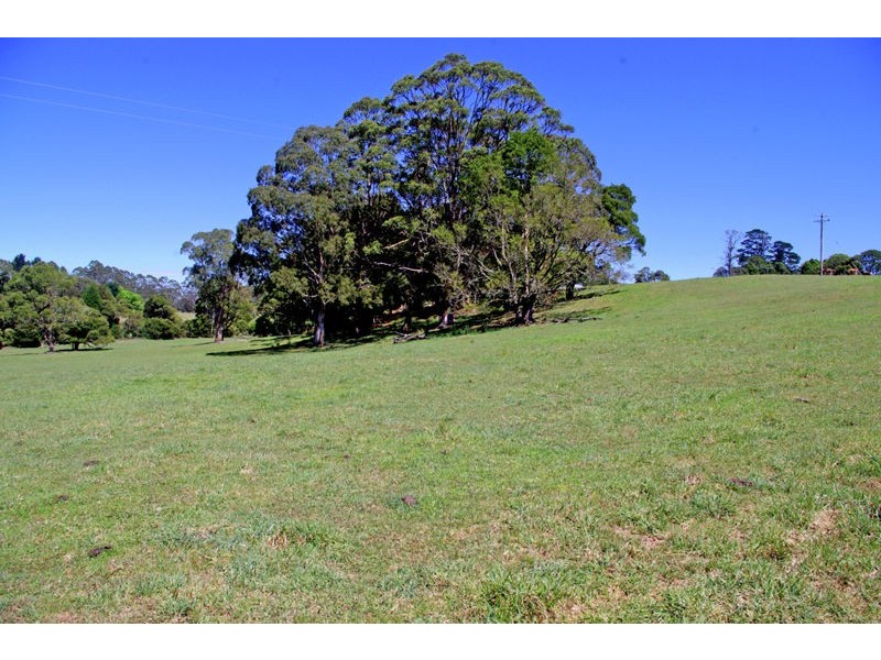 26 Nashs Road, Dorrigo NSW 2453