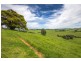 502 Rocky Creek Road, Dorrigo NSW 2453
