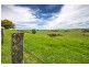 502 Rocky Creek Road, Dorrigo NSW 2453