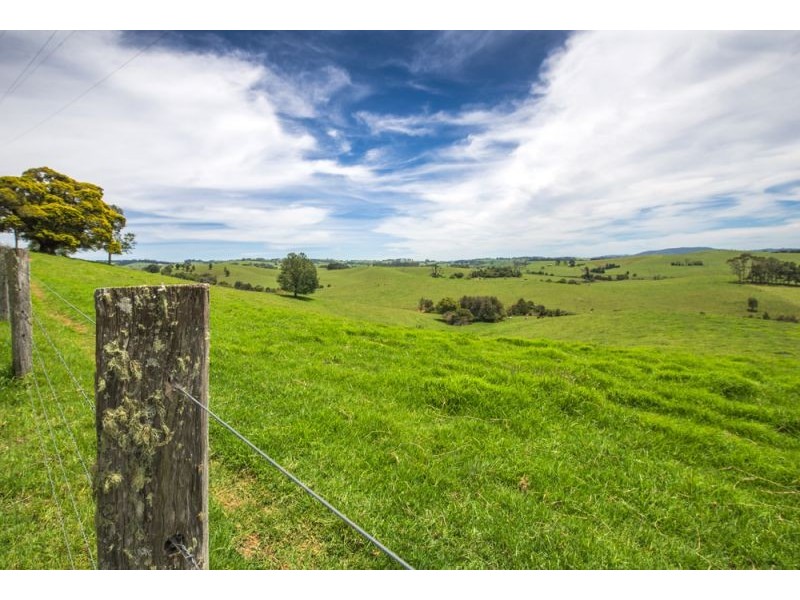 502 Rocky Creek Road, Dorrigo NSW 2453