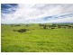 502 Rocky Creek Road, Dorrigo NSW 2453