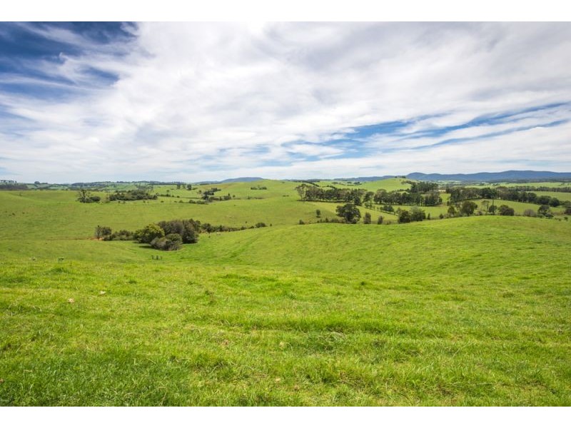 502 Rocky Creek Road, Dorrigo NSW 2453