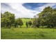 502 Rocky Creek Road, Dorrigo NSW 2453
