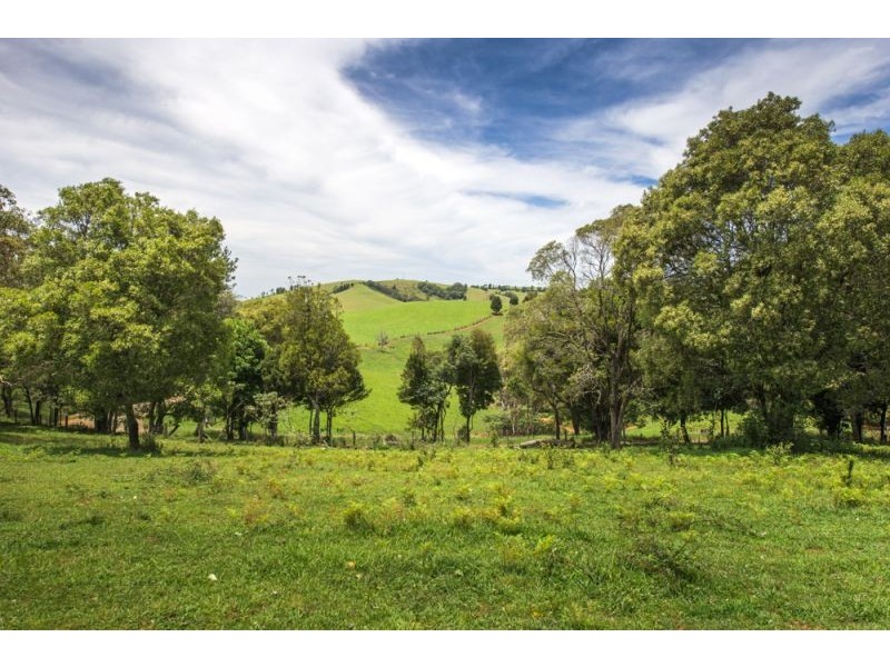 502 Rocky Creek Road, Dorrigo NSW 2453