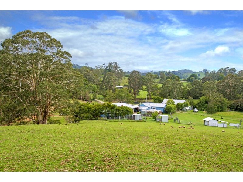 35 Wards Road, Megan, Dorrigo NSW 2453
